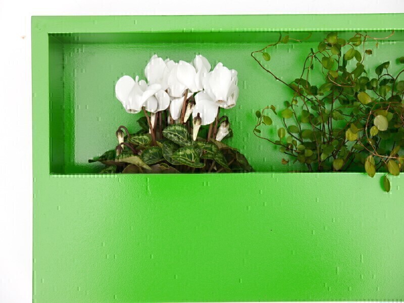 Wand-Pflanzkasten LINEA, grün - jetzt reduziert 40x20x9