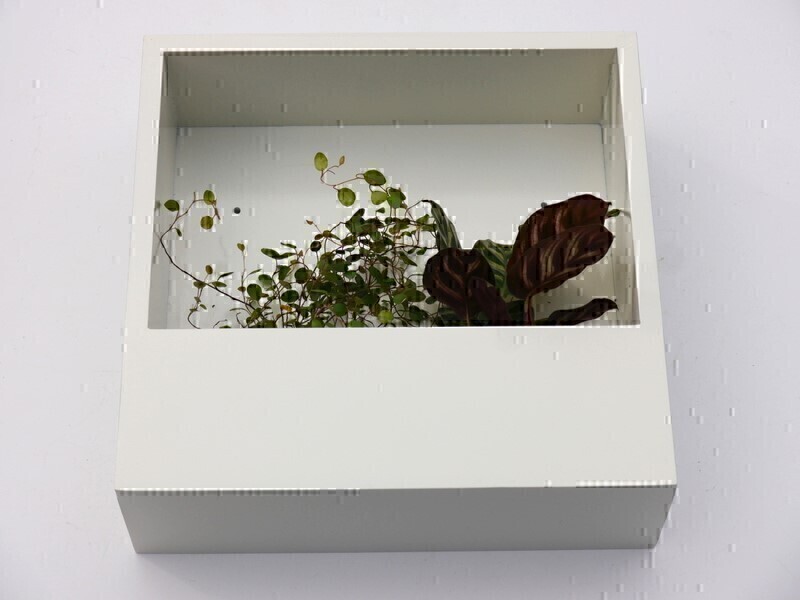 Wand-Pflanzkasten LINEA, weiß - jetzt reduziert 28x28x9