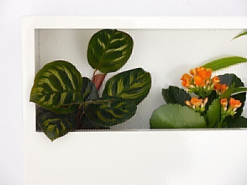 Wand-Pflanzkasten LINEA, weiß - jetzt reduziert 40x20x9