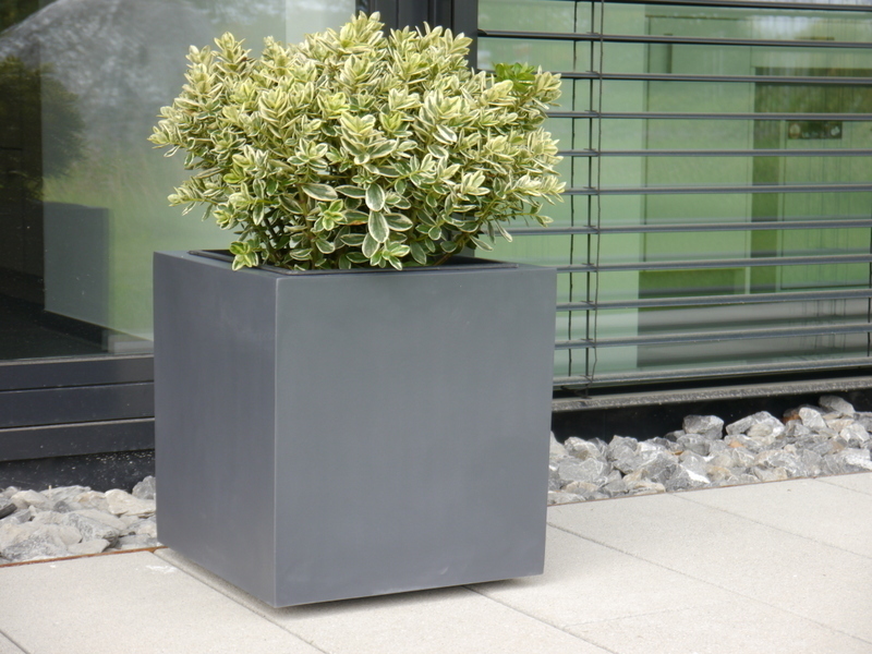 Pflanzkübel für ROLLEN, anthrazit 50x50x50 cm Fiberglas Pflanzkübel