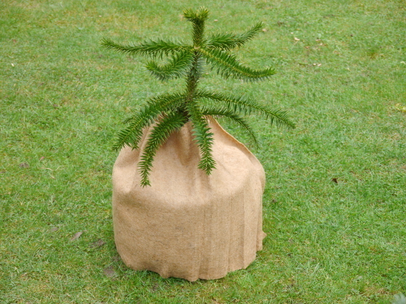 weiches Wintervlies SAFEGREEN aus Kokos, naturfarben 