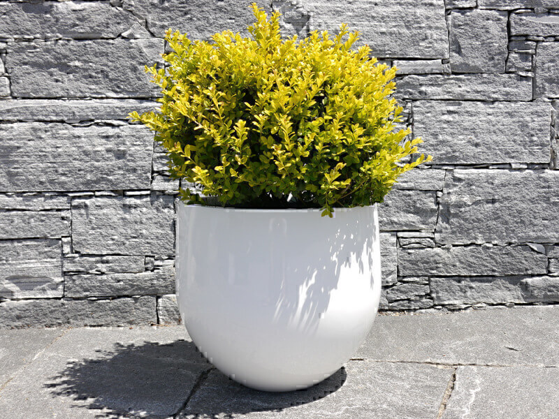 Blumenkübel YOKO, Hochglanz weiß 38x36