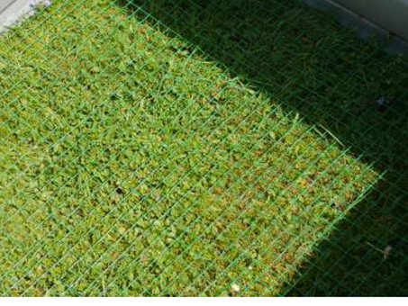 Hochbeet MEGAGREEN aus Fiberglas in schwarz 