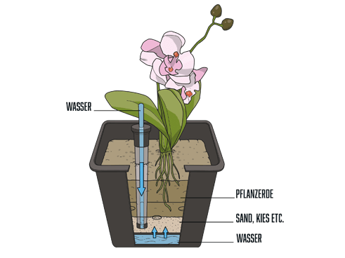 Pflanzeinsatz L34,5x B34,5x H30cm, ohne Bewässerungssystem 
