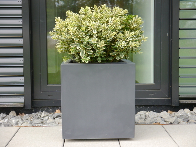 Pflanzkübel, Blumentopf, anthrazit ( Rollen optional) 40x40x40