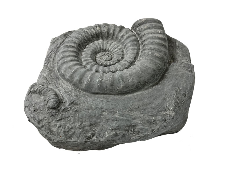 Gartendeko - VOGELBAD "AMMONITO" aus Fiberglas  - betongrau 47x51x16