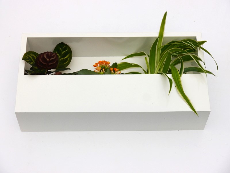 Wand-Pflanzkasten LINEA, weiß - jetzt reduziert 40x20x9